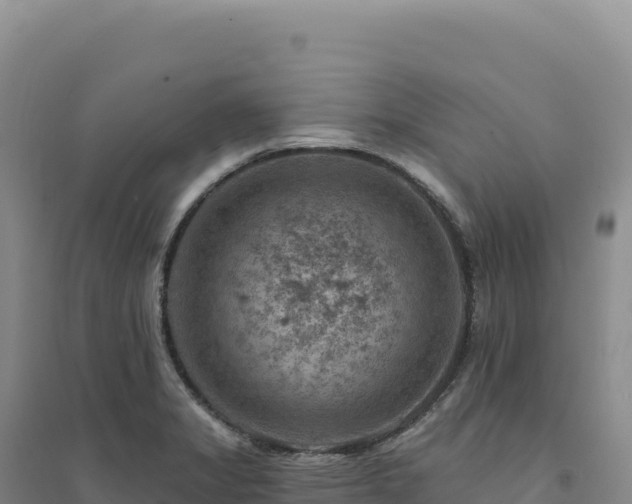 X0000094381325200711091552