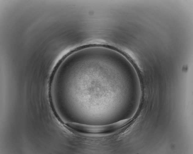 X0000094381326200711091552