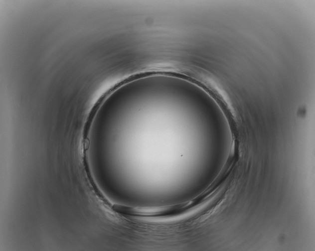 X0000094381328200711091552