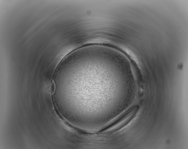 X0000094381329200711091552