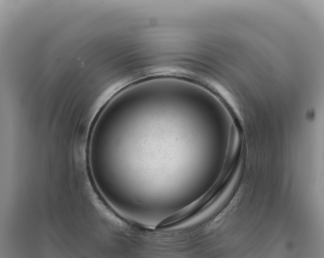 X0000094381330200711091552