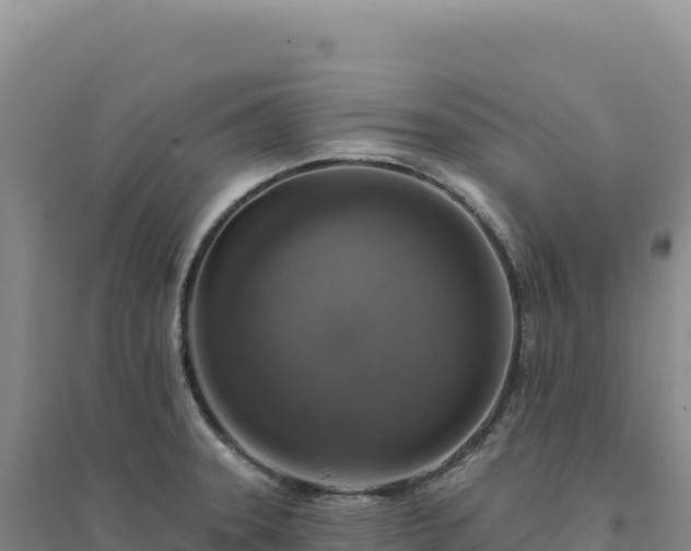 X0000094381331200711091552