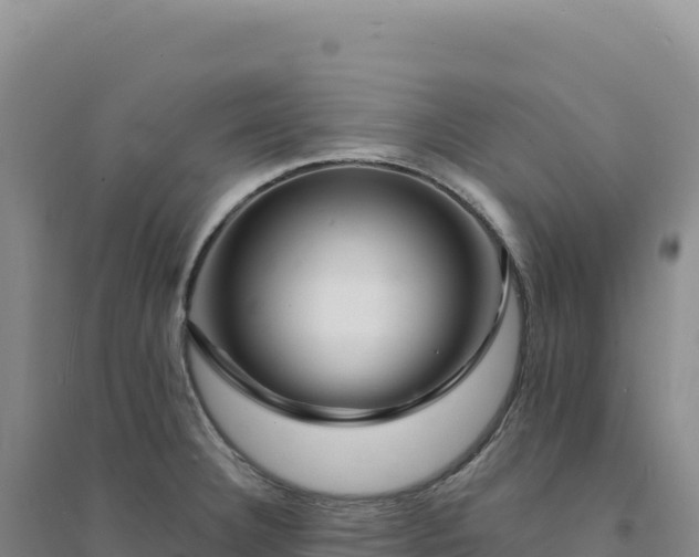 X0000094381332200711091552