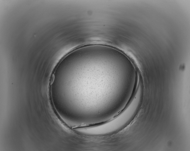 X0000094381333200711091552