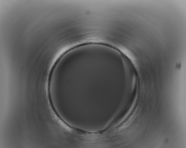 X0000094381334200711091552