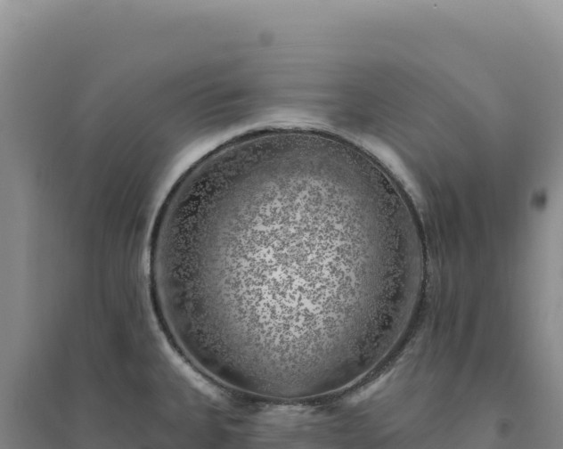 X0000094381335200711091552
