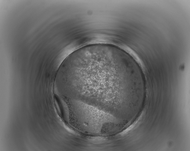 X0000094381337200711091552