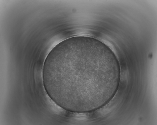 X0000094381338200711091552