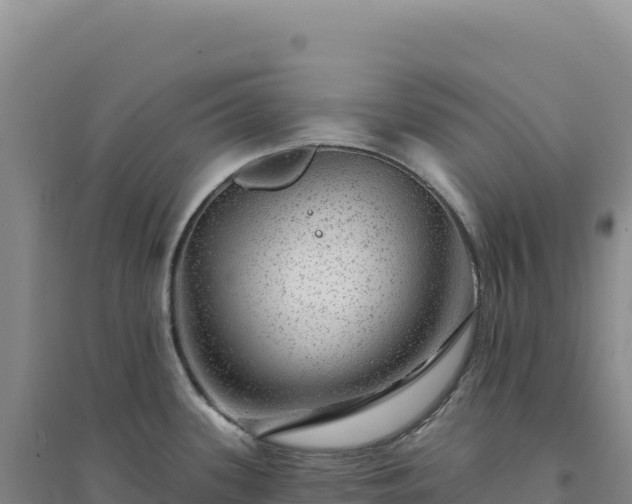 X0000094381339200711091552