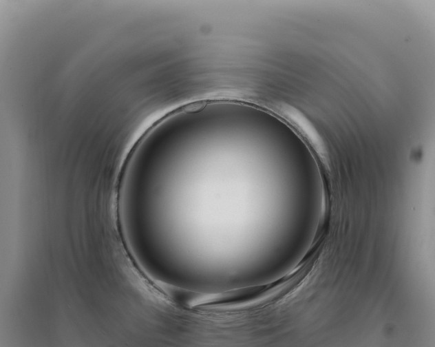X0000094381340200711091552