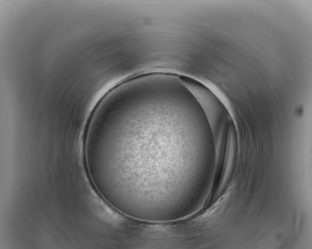 X0000094381341200711091552