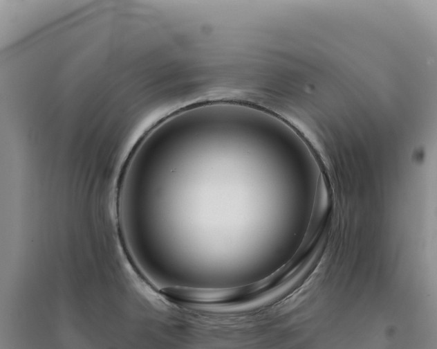 X0000094381342200711091552