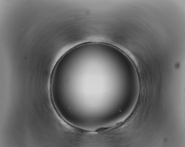 X0000094381343200711091552