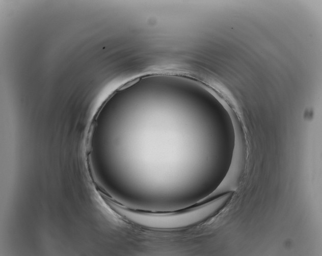 X0000094381344200711091552