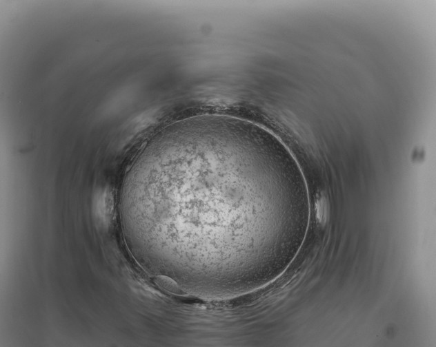 X0000094381347200711091552