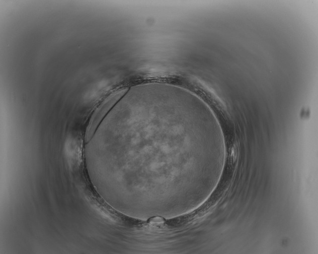 X0000094381348200711091552