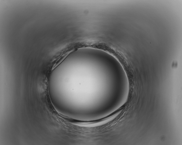 X0000094381349200711091552