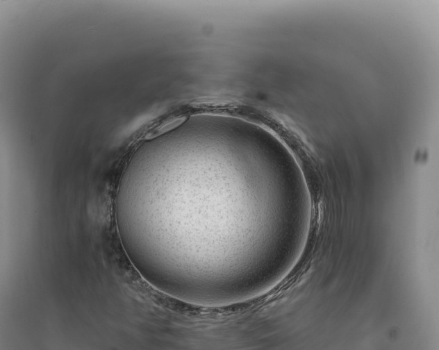 X0000094381350200711091552