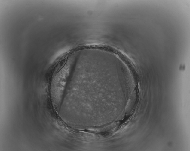 X0000094381351200711091552