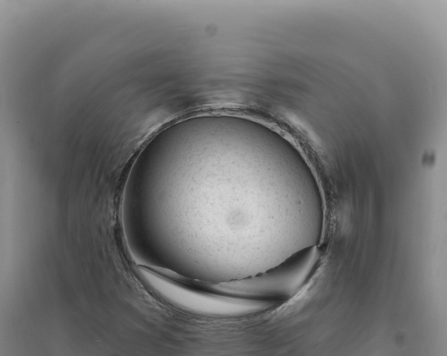 X0000094381353200711091552
