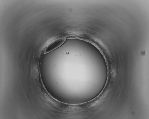 X0000094381354200711091552
