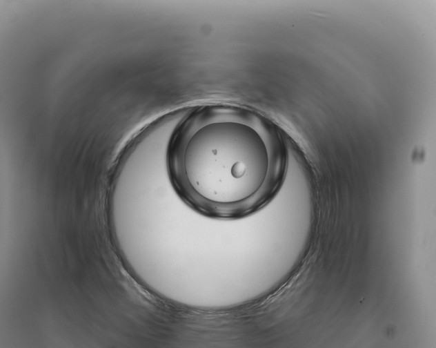 X0000094381356200711091552