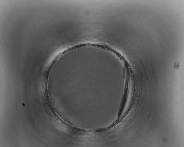 X0000094381359200711091552