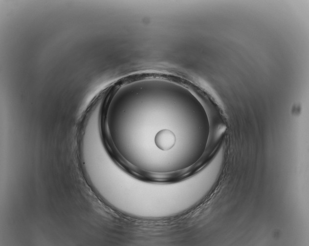 X0000094381360200711091552