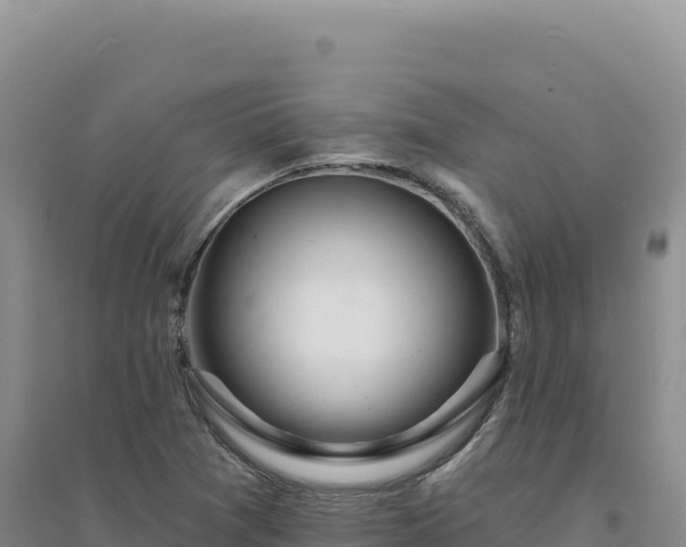 X0000094381361200711091552