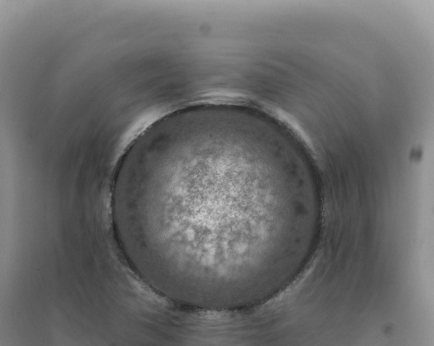 X0000094381362200711091552