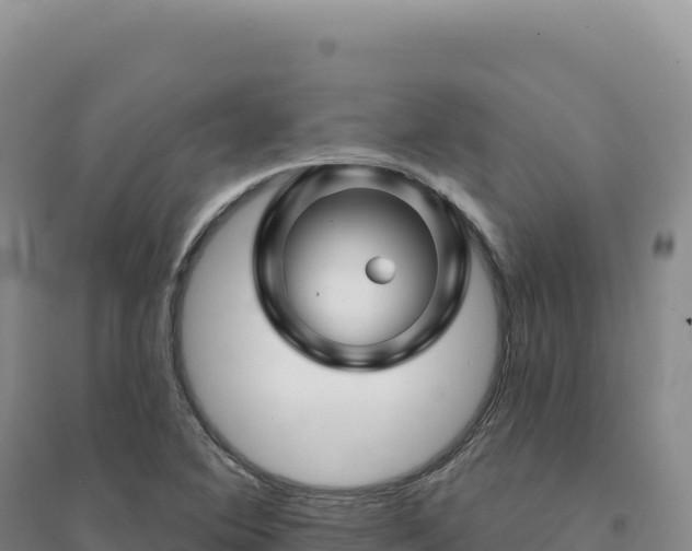X0000094381364200711091551