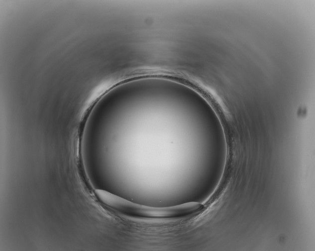 X0000094381365200711091551