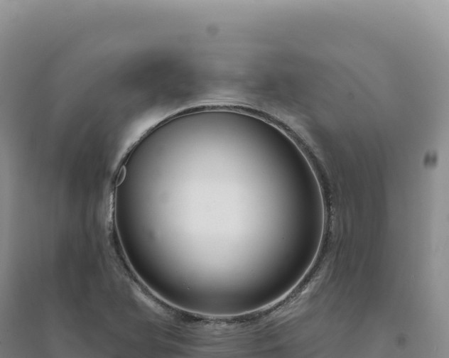 X0000094381366200711091551