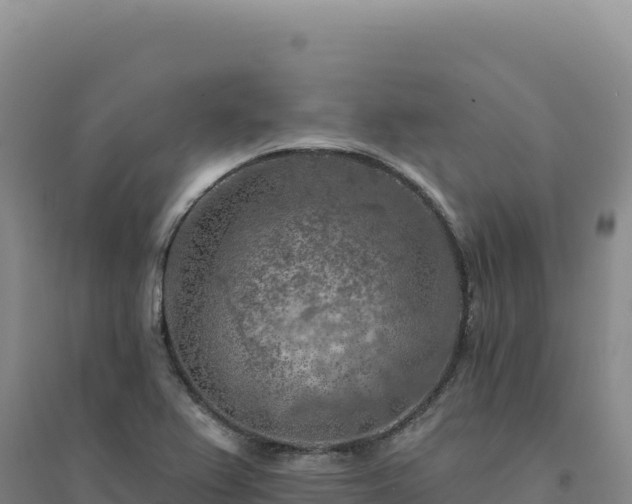 X0000094381367200711091551