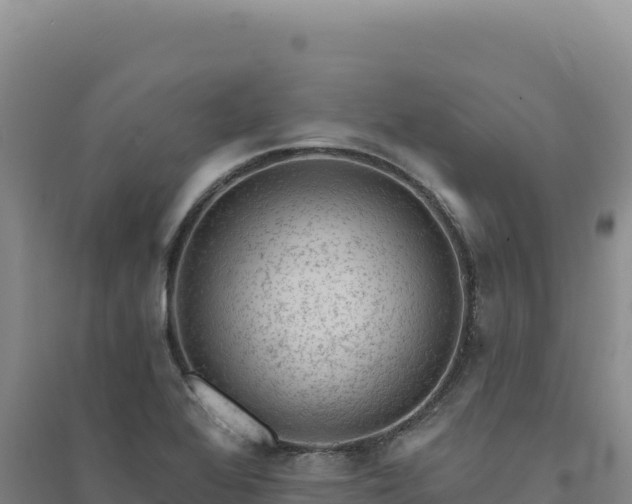 X0000094381368200711091551