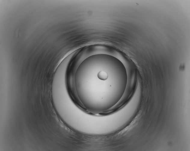 X0000094381369200711091551