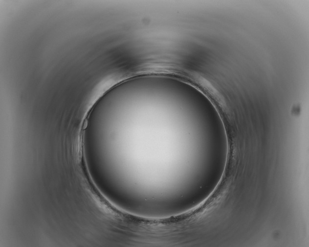 X0000094381370200711091551