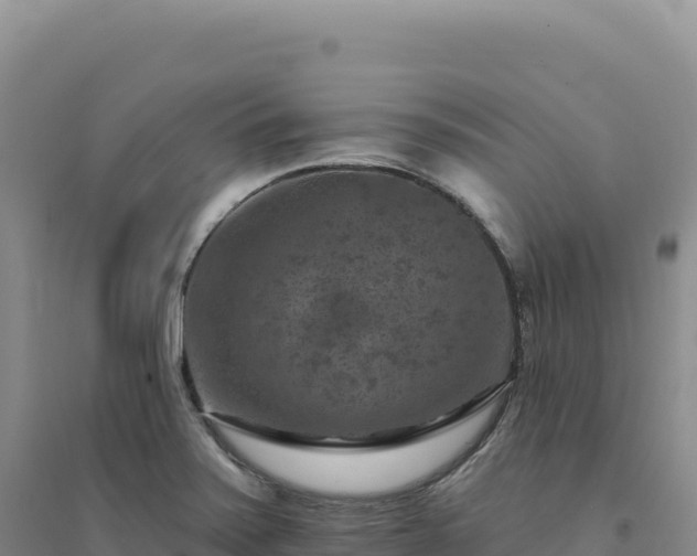 X0000094381371200711091551