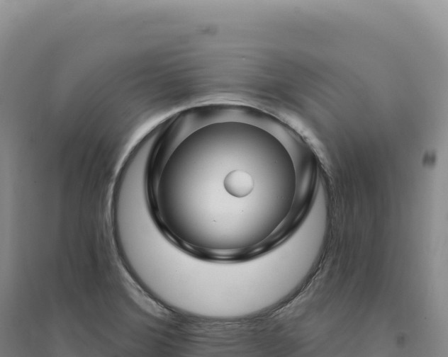 X0000094381372200711091551
