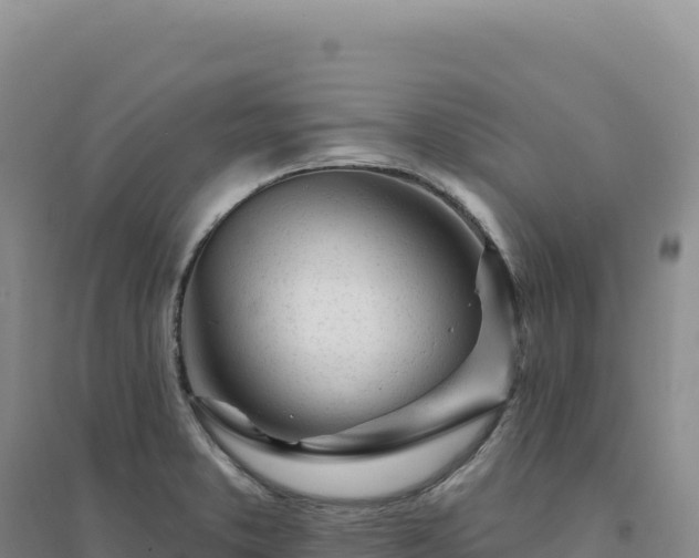 X0000094381373200711091551