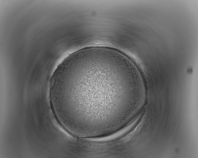 X0000094381374200711091551