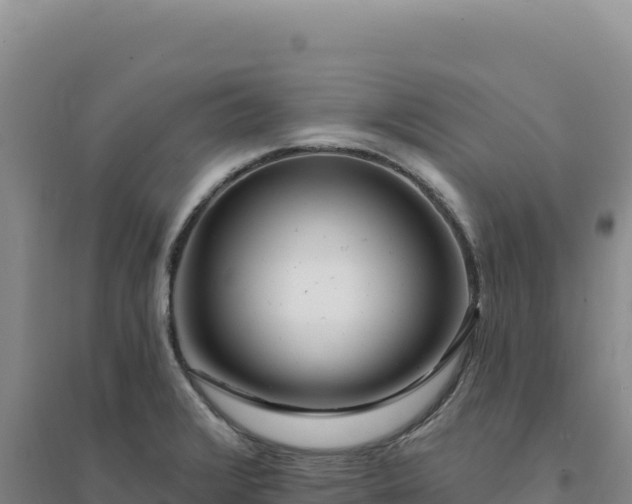 X0000094381376200711091551