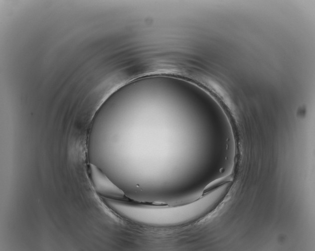 X0000094381377200711091551