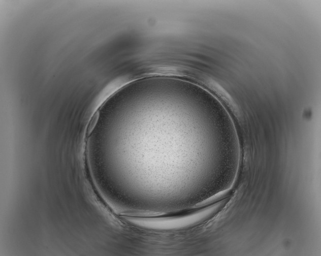 X0000094381378200711091551