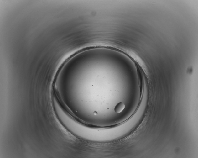 X0000094381380200711091551