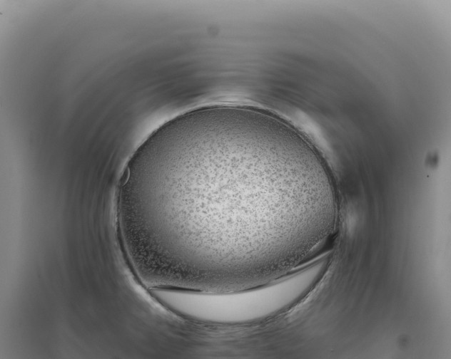 X0000094381382200711091551