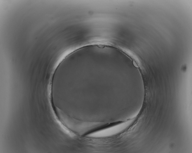 X0000094381383200711091551