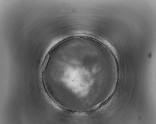 X0000094381384200711091551