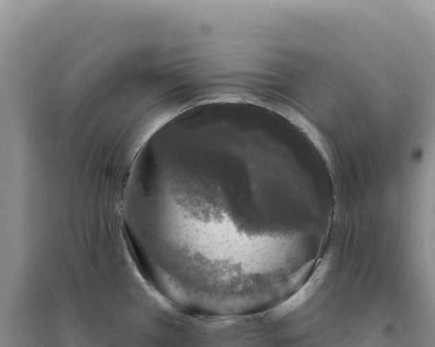 X0000094381385200711091551