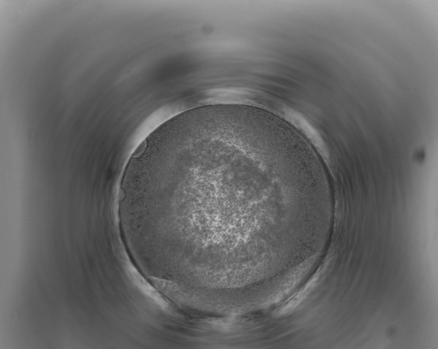 X0000094381386200711091551